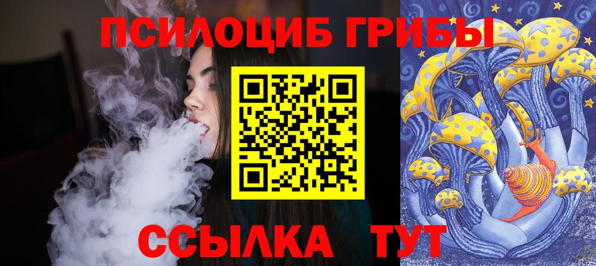 Псилоцибиновые грибы Cubensis  цены наркотик  Тамбов  Вход с VPN 