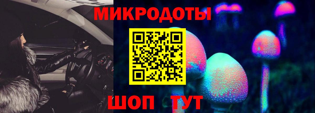 Галлюциногенные грибы мухоморы Тамбов